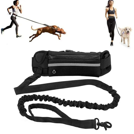 hands-free dog leash