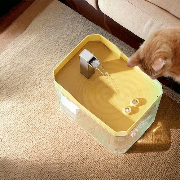 cat water fountain