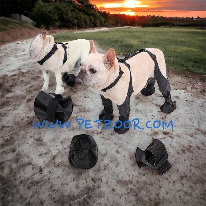 dog boots with suspenders