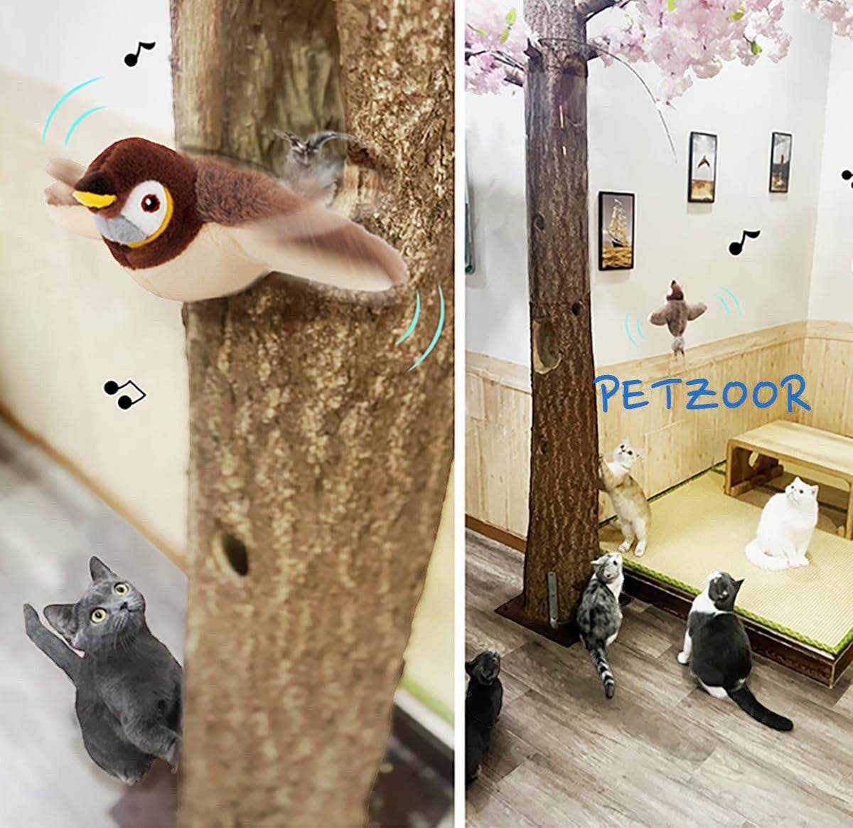 flying bird cat toy