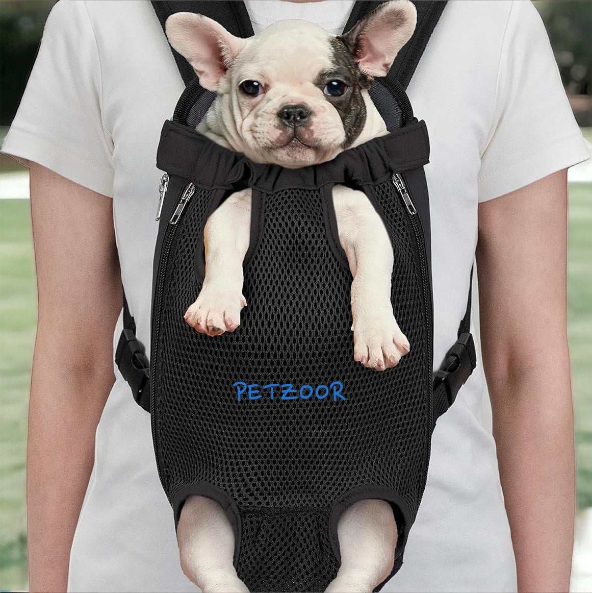 Dog carrier backpack