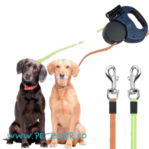 2 leash photoroom.png