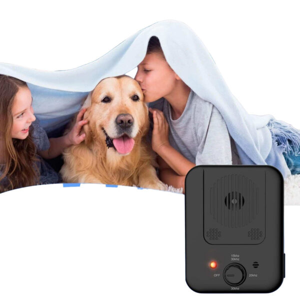 antibarking photoroom.jpg