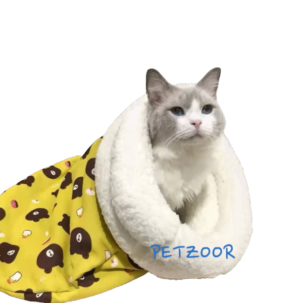 cozy cat photoroom.png