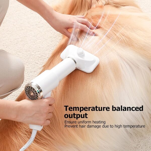 petzoor 2 in 1 low noise dog dryer