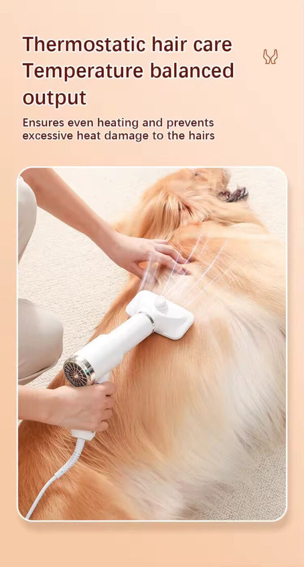 petzoor 2 in 1 low noise dog dryer