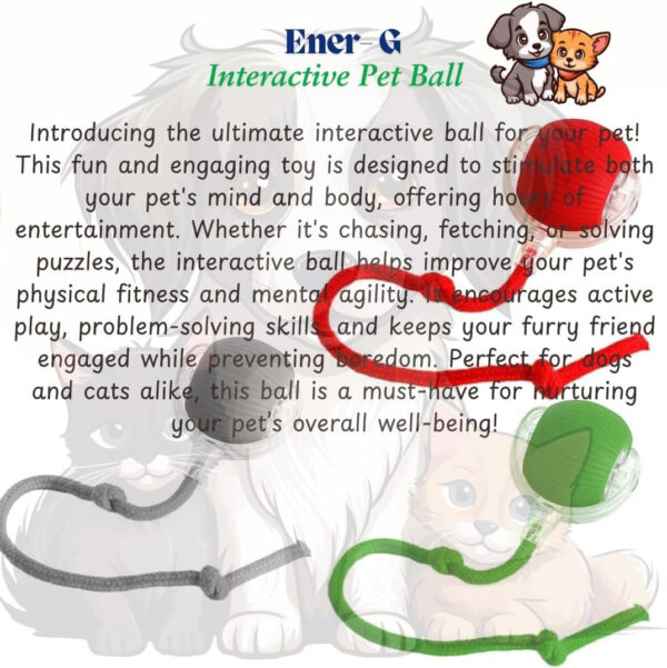 pet toy automatic amusement cat car amusement cat toy cat sound automatic dodgeball