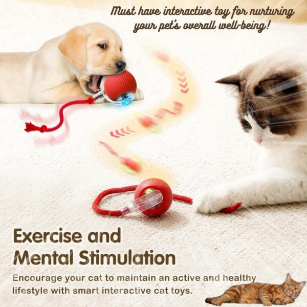 pet toy automatic amusement cat car amusement cat toy cat sound automatic dodgeball