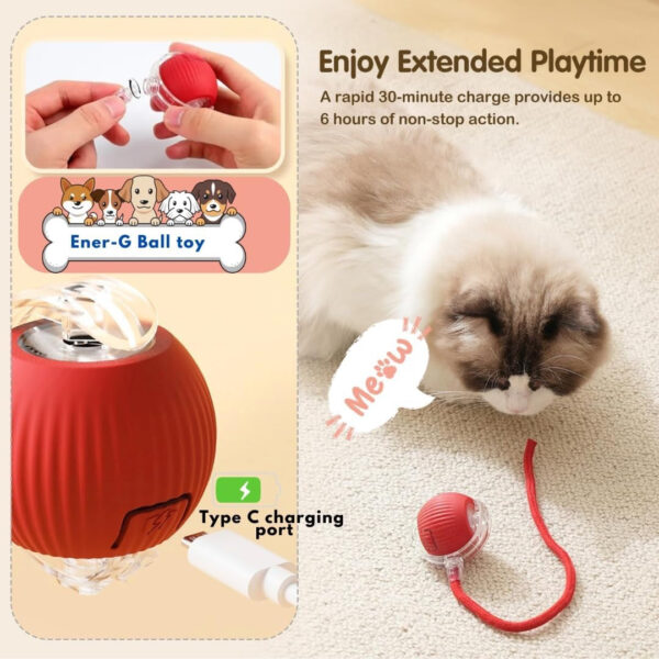 pet toy automatic amusement cat car amusement cat toy cat sound automatic dodgeball