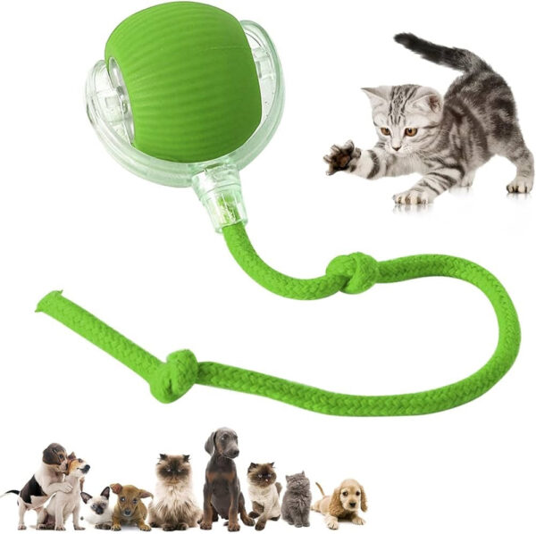 pet toy automatic amusement cat car amusement cat toy cat sound automatic dodgeball
