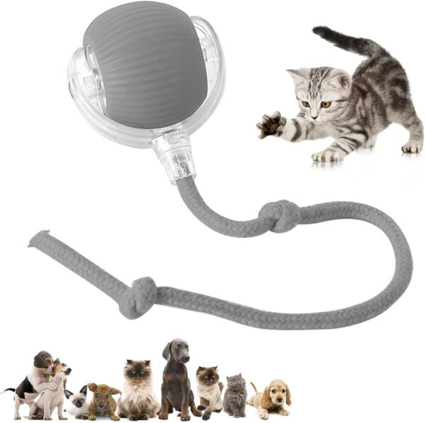 pet toy automatic amusement cat car amusement cat toy cat sound automatic dodgeball