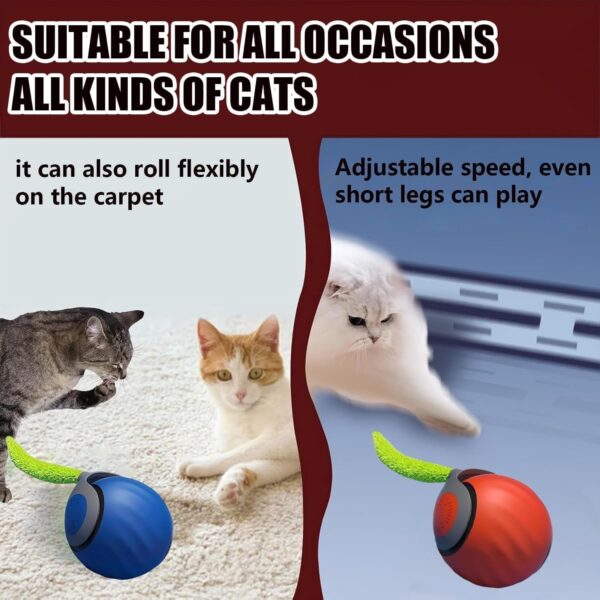 pet electric toy ball