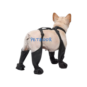 paw guard photoroom.png