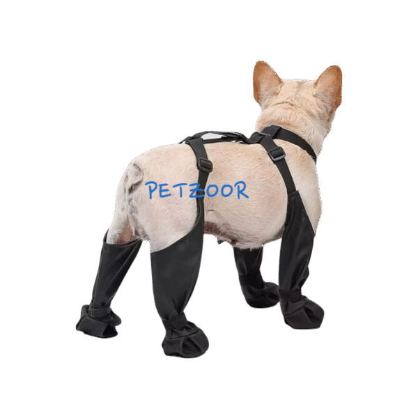 paw guard photoroom.png