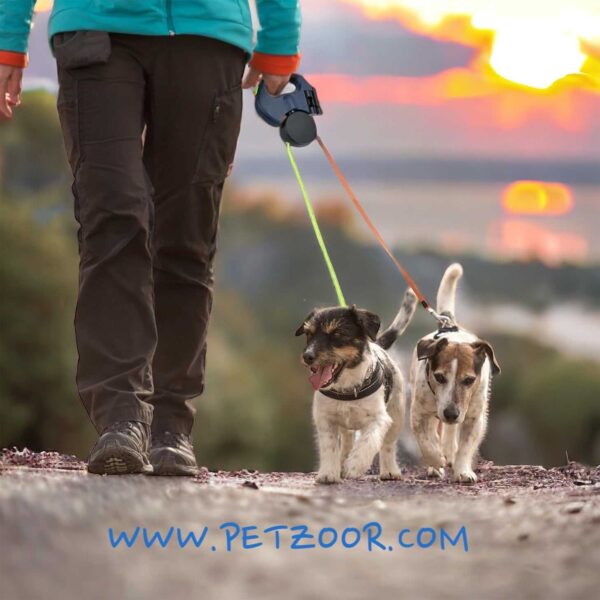 retractable dog leash petzoor twinlead
