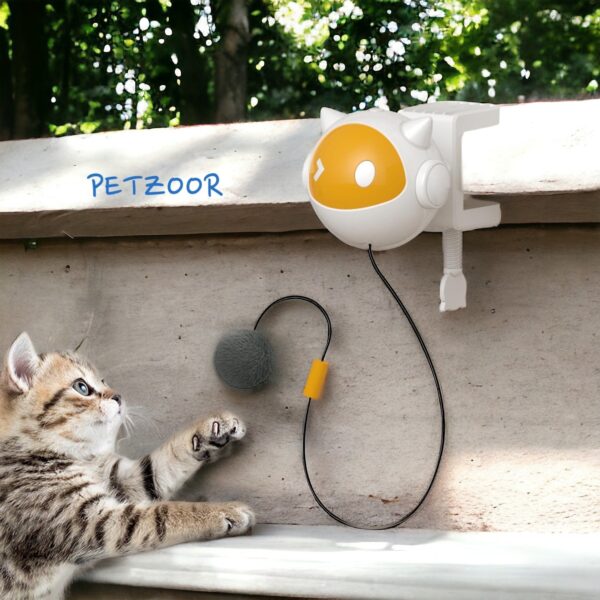 cat scratching post petzoor magicball
