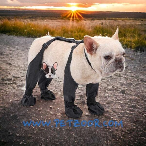 dog boots with suspenders petzoor paw guard