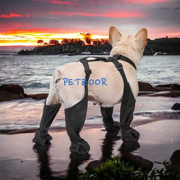 dog boots with suspenders petzoor paw guard