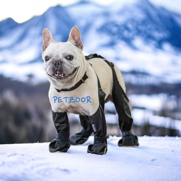 dog boots with suspenders petzoor paw guard