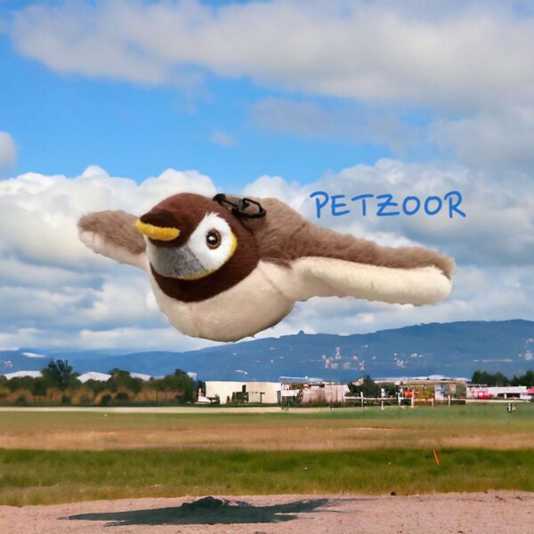 flying bird cat toy petzoor soaringbird
