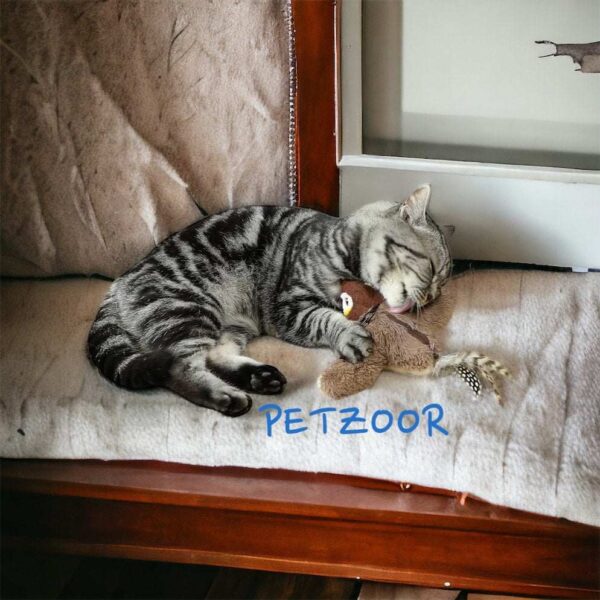 flying bird cat toy petzoor soaringbird
