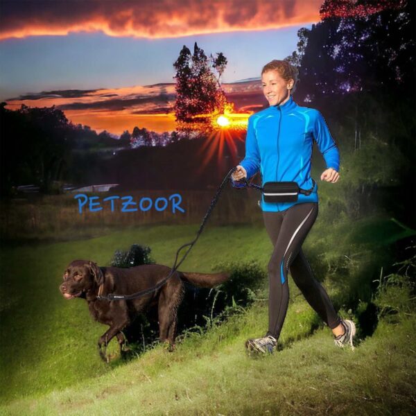 reflective hands free dog leash petzoor activestride