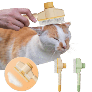 shoone photoroom.png
