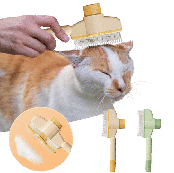 shoone photoroom.png