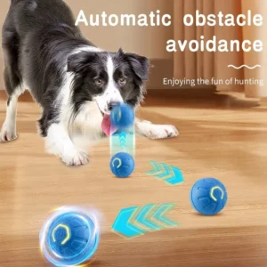 Home pet electric toy ball