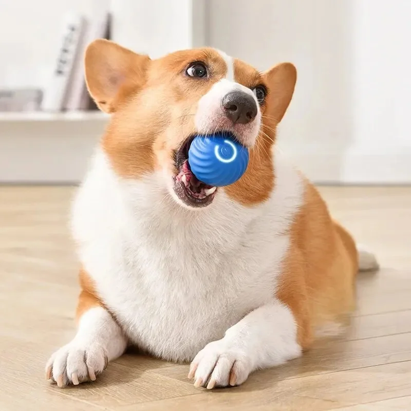 pet electric toy ball pet electric toy ball