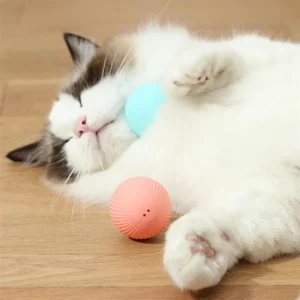 Home pet electric toy ball