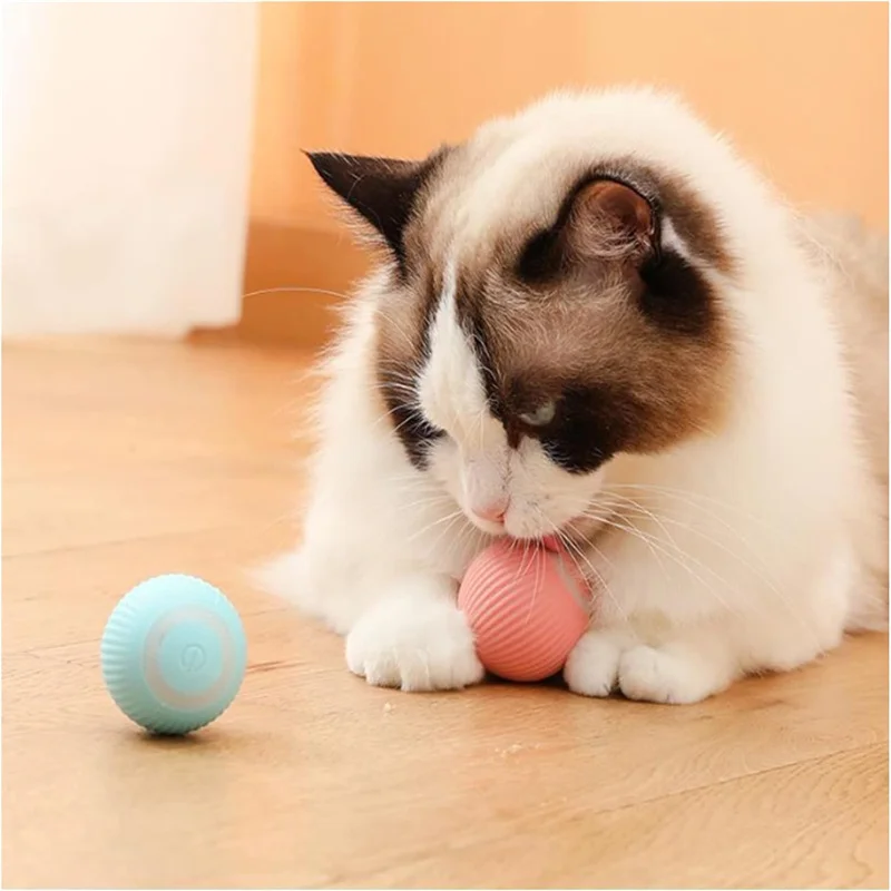pet electric toy ball pet electric toy ball