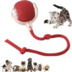 pet toy