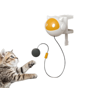 top cat photoroom.png