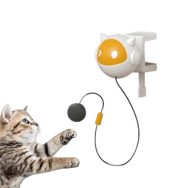 top cat photoroom.png